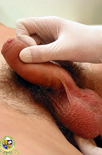 young cock get medical checkup and test